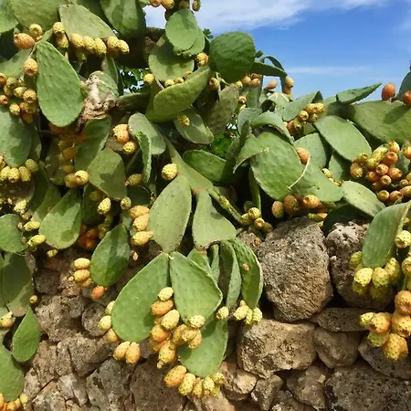 Dimora Oriente Ostuni